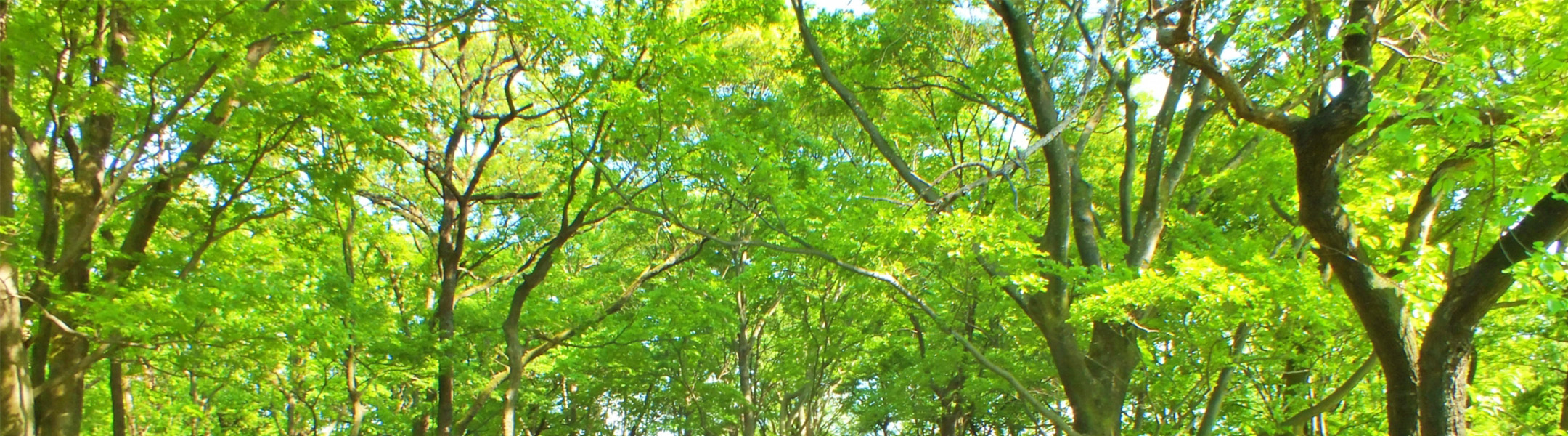 環境に配慮した事業活動イメージ